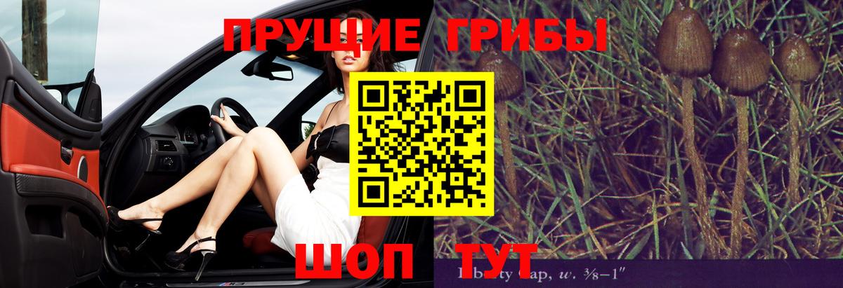 Электрогорск  Псилоцибиновые грибы прущие грибы  Вход с VPN 