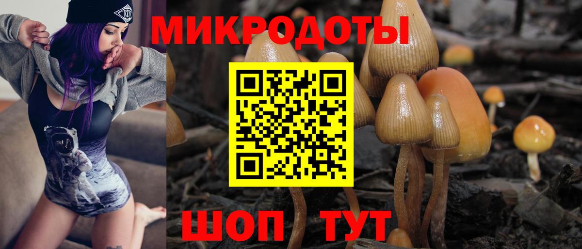 Галлюциногенные грибы Magic Shrooms Электрогорск